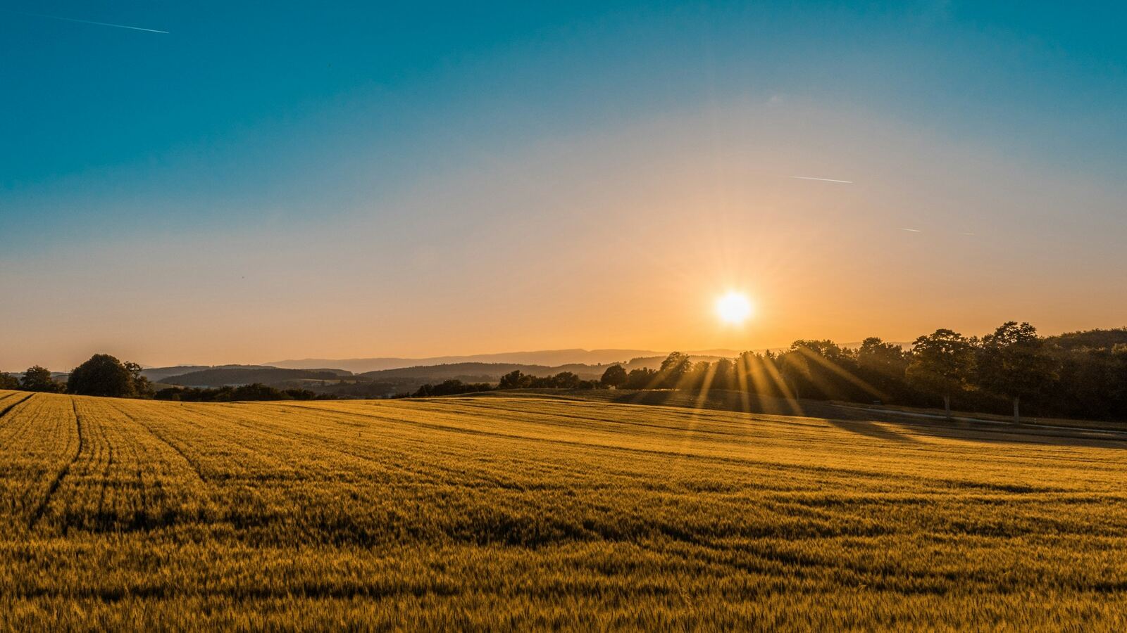 Wiese im Morgenlicht — typische Bliesgau-Landschaft vor der Mahd